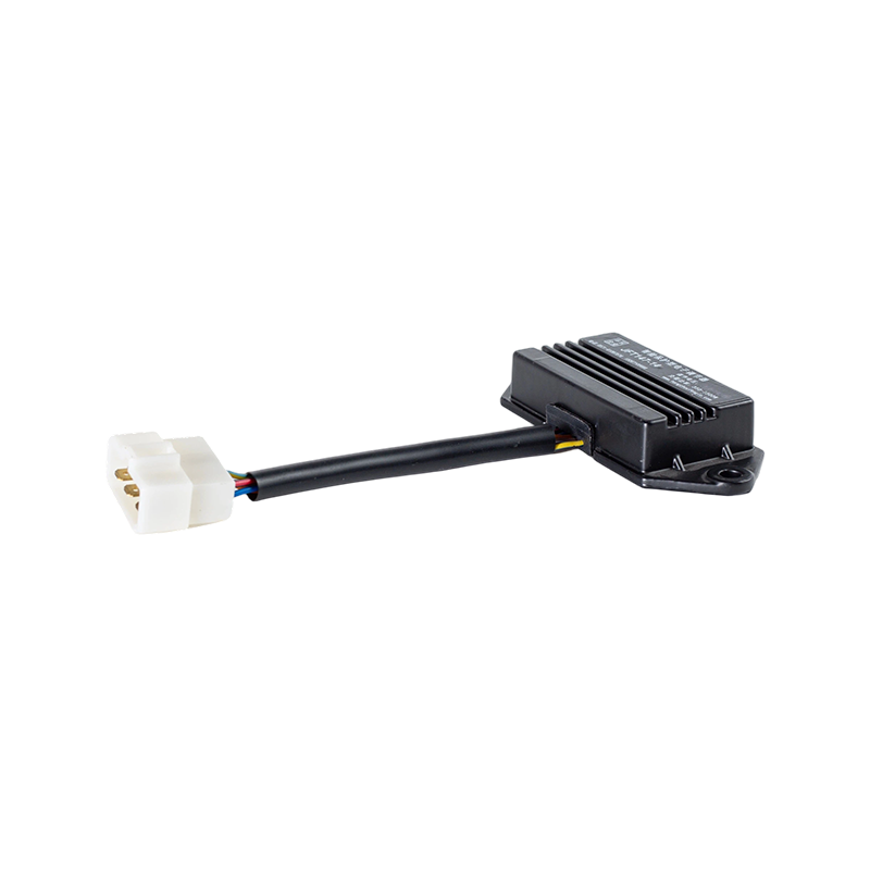 IP65 DC12V Hệ thống sạc xe nâng công nghiệp quá điện áp rộng Bộ điều chỉnh điện tử